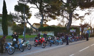 Photo de 1000 toros 2022
