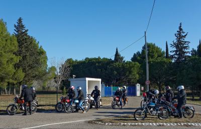 Photo de 1000 toros 2024
