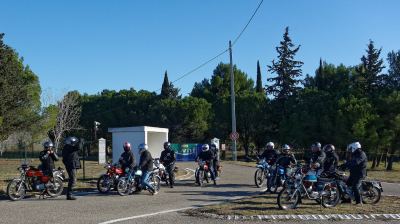 Photo de 1000 toros 2024