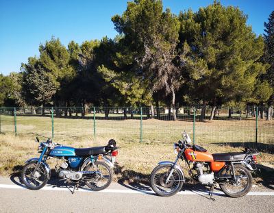 Photo de 1000 toros 2024