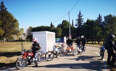 Photo de 1000 toros 2024
