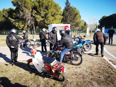 Photo de 1000 toros 2024