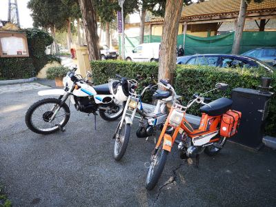 Photo de 1000 toros 2024