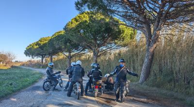 Photo de 1000 Toros 2025