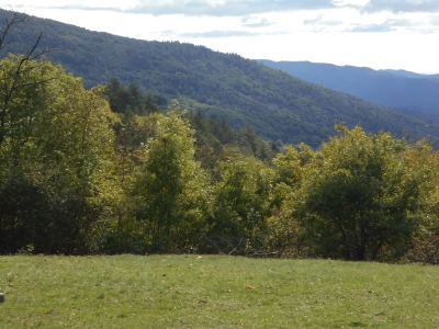 Photo de 125 km en 125 2019