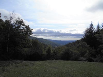 Photo de 125 km en 125 2019