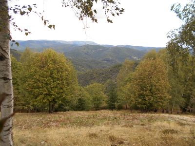Photo de 125 km en 125 2019