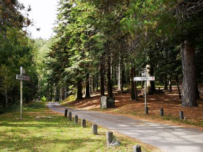Photo de 125 km en 125 2019