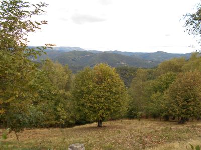 Photo de 125 km en 125 2019