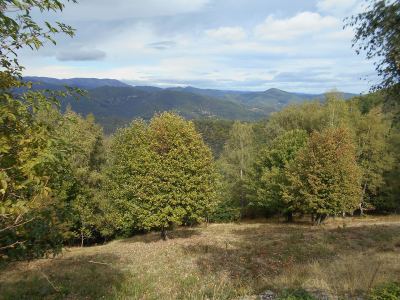 Photo de 125 km en 125 2019