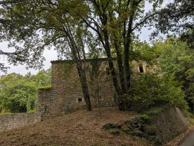 Photo de 125 km en 125 2025