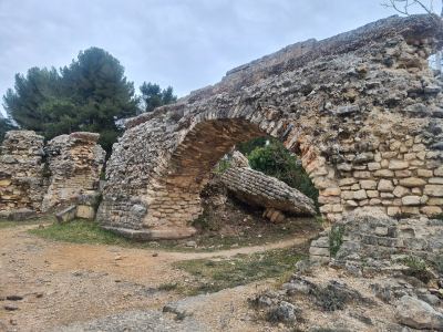 Photo de Alpilles 2023