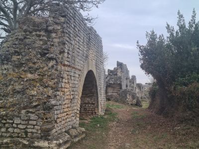 Photo de Alpilles 2023