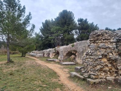 Photo de Alpilles 2023