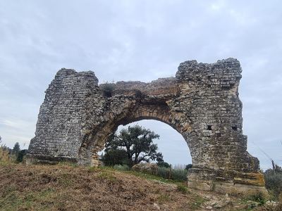 Photo de Alpilles 2023