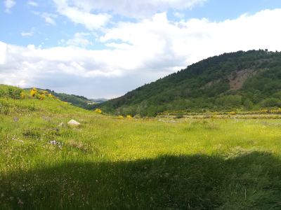 Photo de Antraigues sur Volane 2019