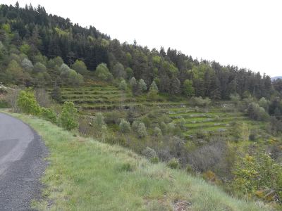 Photo de Antraigues sur Volane 2019