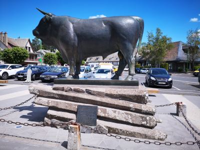 Photo de Aubrac 2021