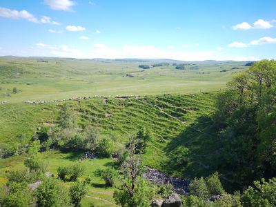 Photo de Aubrac 2021