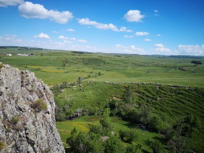 Photo de Aubrac 2021