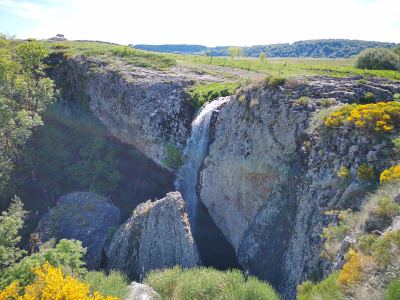 Photo de Aubrac 2021