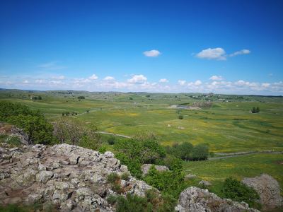 Photo de Aubrac 2021
