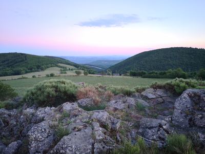 Photo de Aubrac 2021