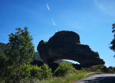 Photo de Aubrac 2021