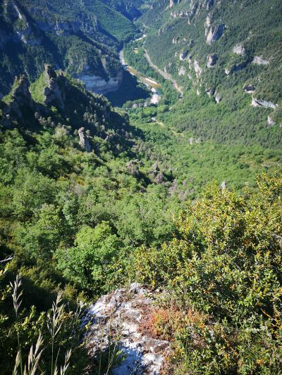 Photo de Aubrac 2021