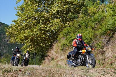 Photo de Automnale 2018