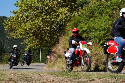 Photo de Automnale 2018