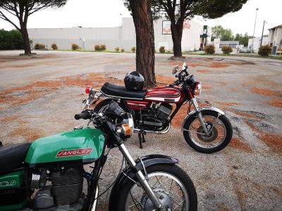 Photo de Automnale 2023