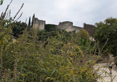 Photo de Automnale       27 septembre 2026