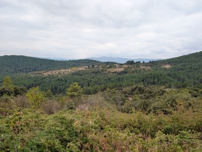 Photo de Automnale       27 septembre 2026