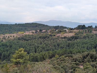 Photo de Automnale       27 septembre 2026