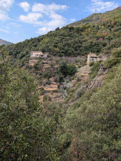 Photo de Automnale       27 septembre 2026