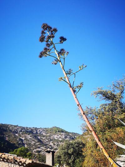 Photo de Balade du 20 Novembre 2021