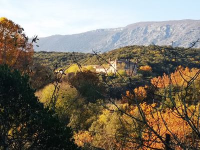 Photo de Balade du 20 Novembre 2021