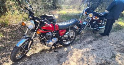 Photo de Camargue Alpilles 2025