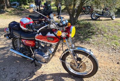 Photo de Camargue Alpilles 2025
