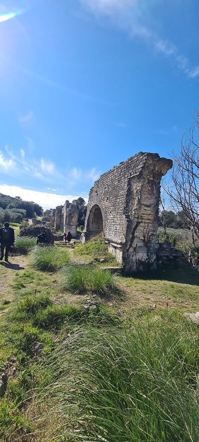 Photo de Camargue Alpilles 2025