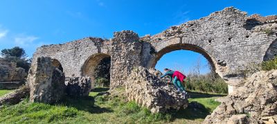 Photo de Camargue Alpilles 2025