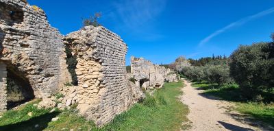 Photo de Camargue Alpilles 2025