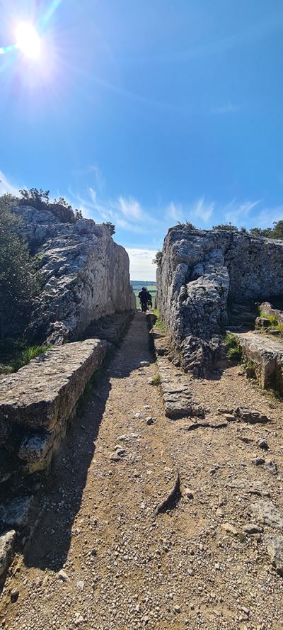 Photo de Camargue Alpilles 2025