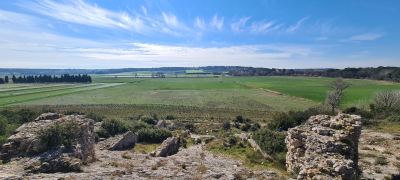 Photo de Camargue Alpilles 2025
