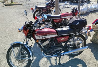 Photo de Camargue Alpilles 2025