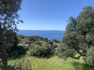 Photo de Collobrières