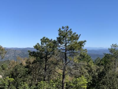 Photo de Collobrières