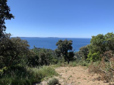 Photo de Collobrières
