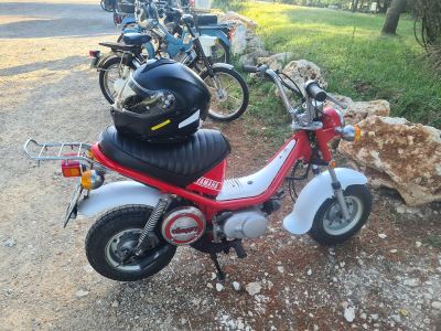 Photo de Cyclo Sud Classique 2023
